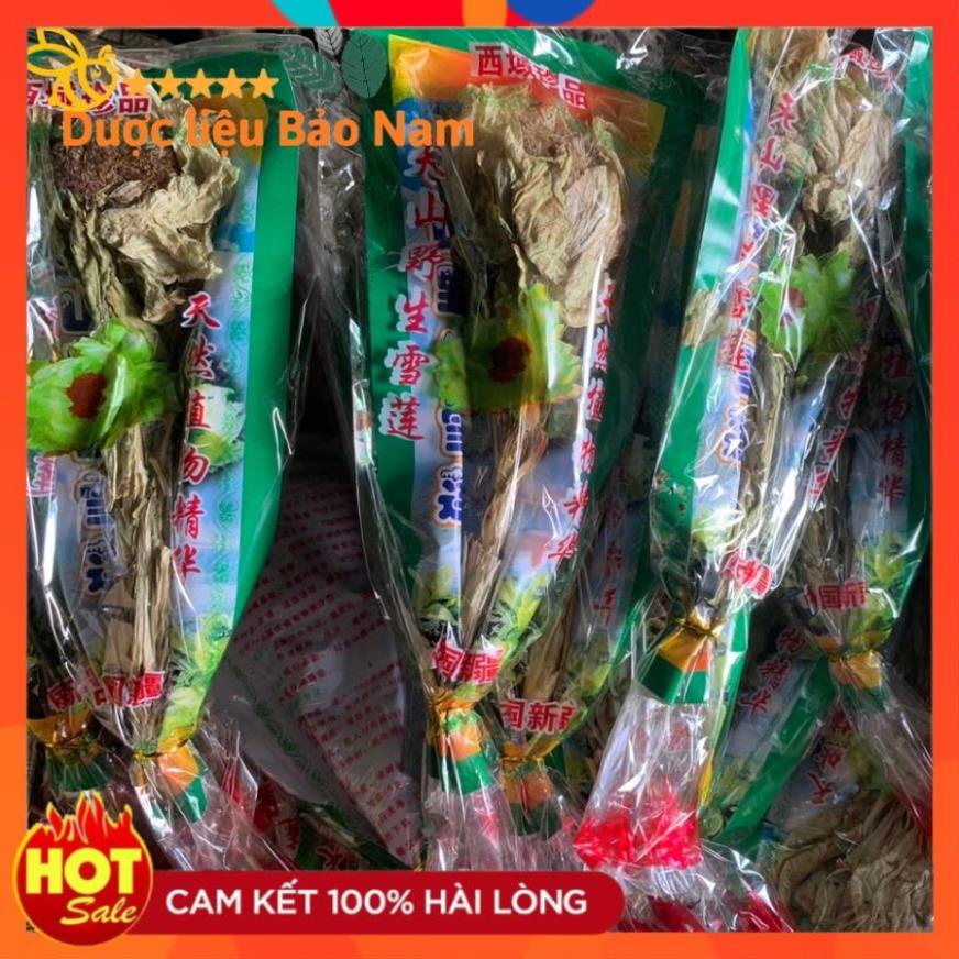 Tuyết liên hoa 1 bông loại to