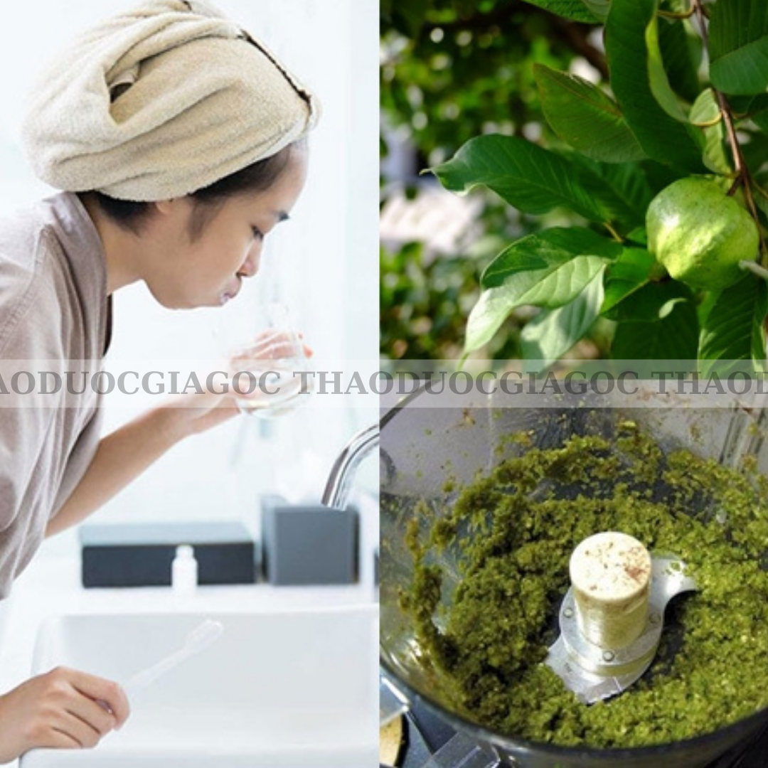 Bột lá ổi nguyên chất