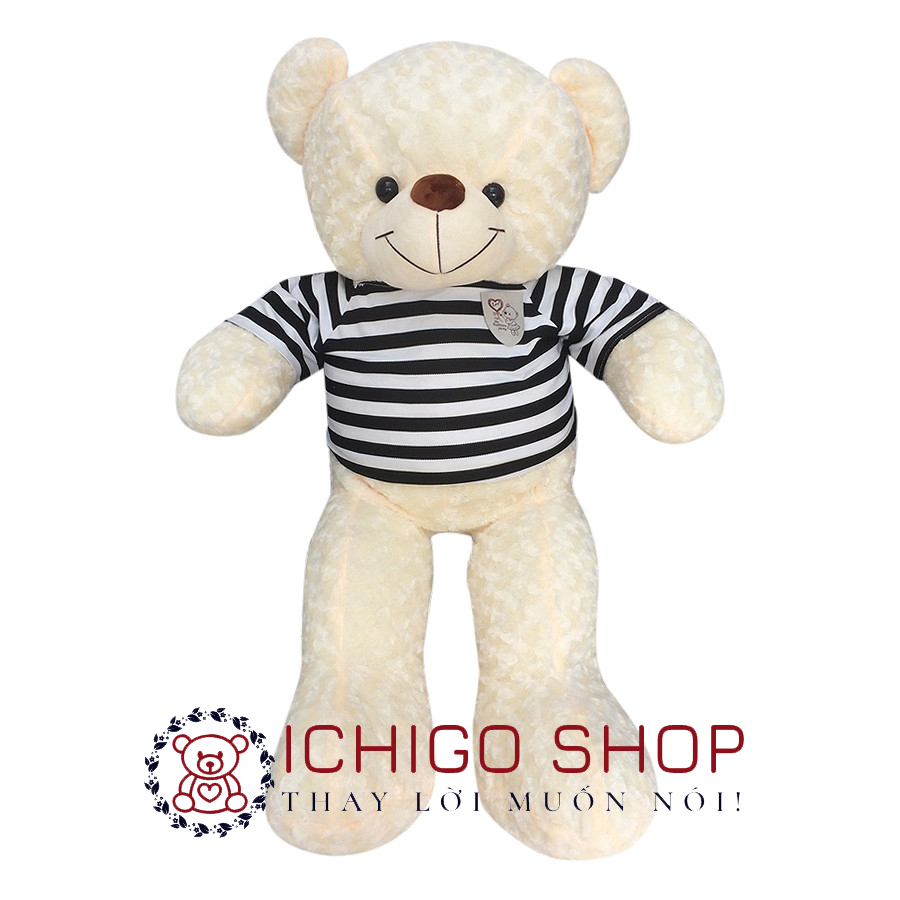 GẤU BÔNG TEDDY CAO CẤP ĐỦ MÀU