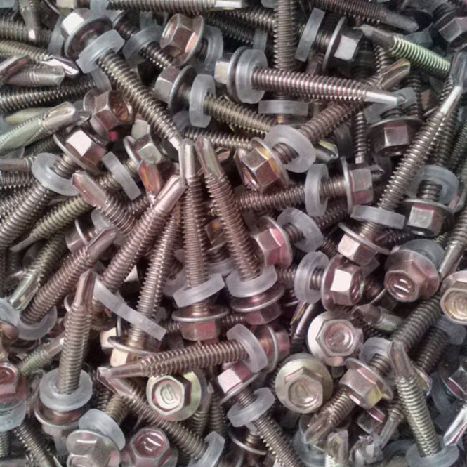 Vít bắn tôn (ron trắng)