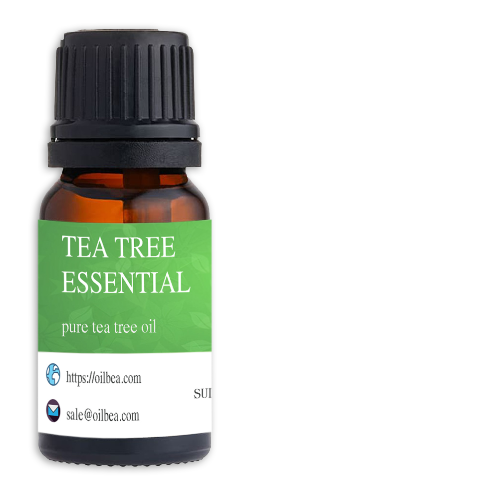 Tinh dầu tràm trà nguyên chất - tea tree oil