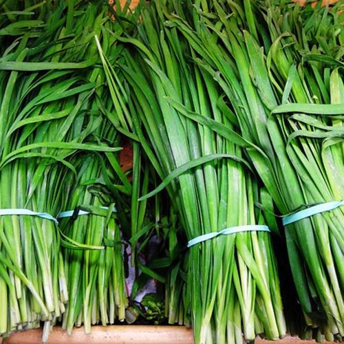 Hạt Giống Rau Hẹ Ta. Túi 10Gram - Sinh Trưởng Mạnh - Giá Khuyến Mại - Kèm Quà Tặng