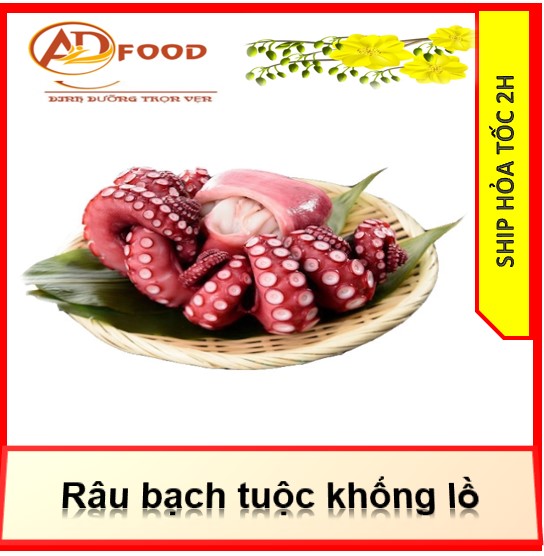 500g râu bạch tuộc to khổng lồ (NET 6)