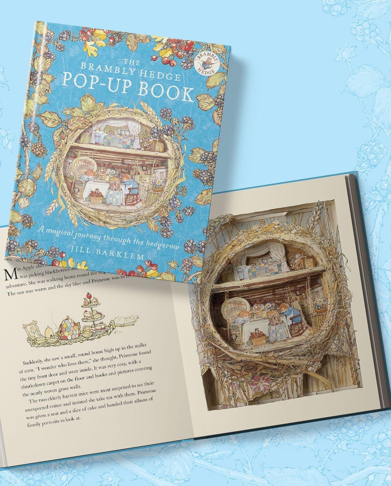 Brambly Hedge - Bản 3D Đặc Biệt Mới