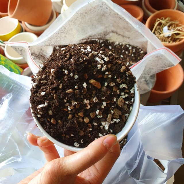 Đất trồng sen đá 1kg