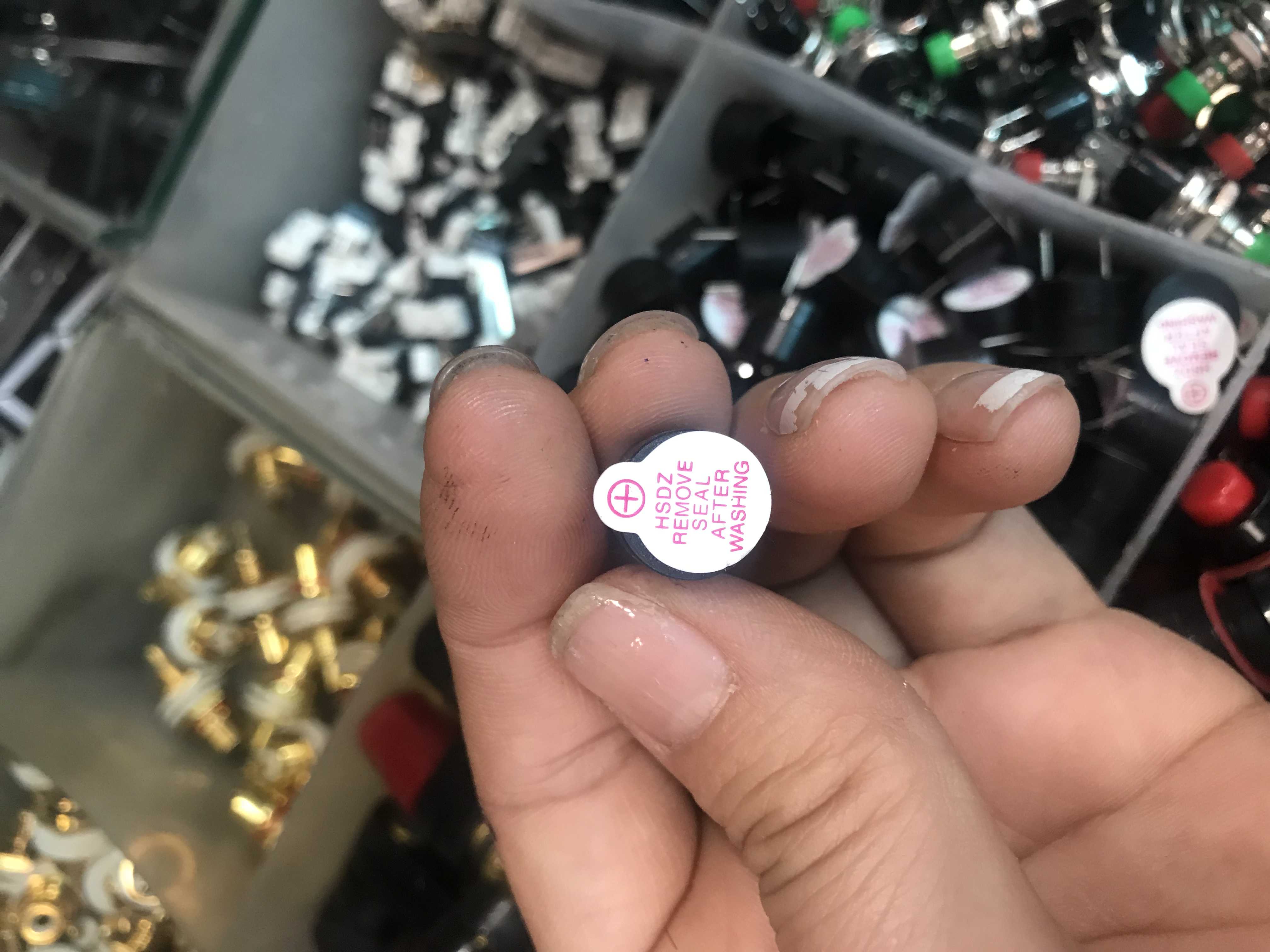 2 chiếc còi chip điện áp 12v - 2chieccoichip12v
