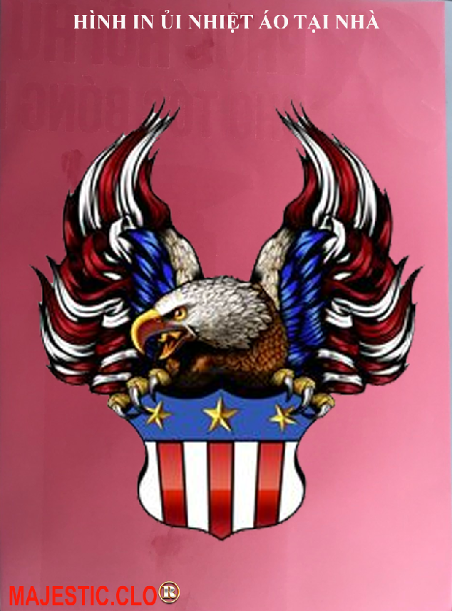 eagle american