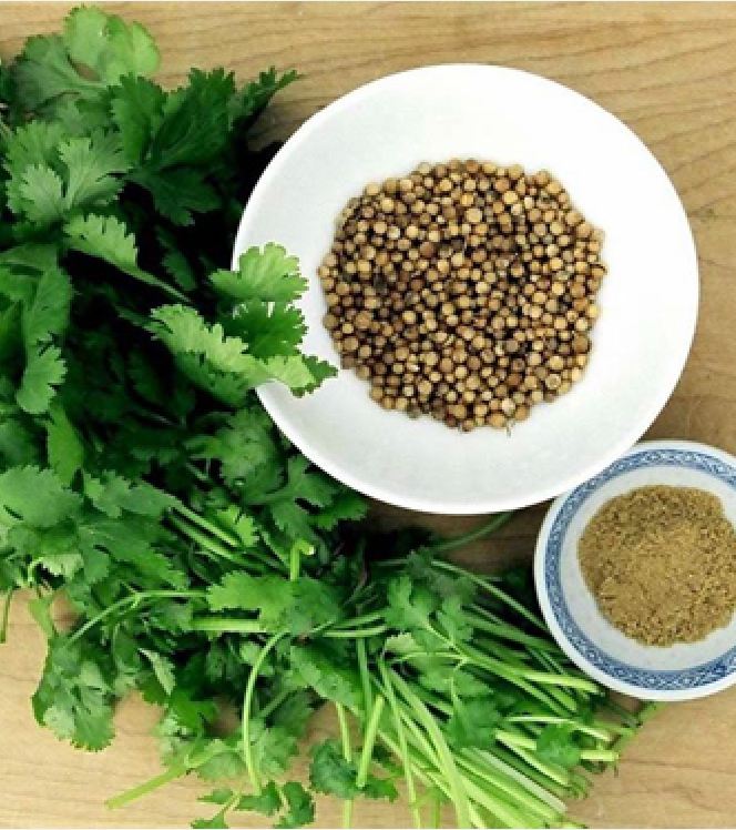 "Gói 20Gram "Hạt giống rau thơm ( cồn tía - rau ngò ) [Seeds]