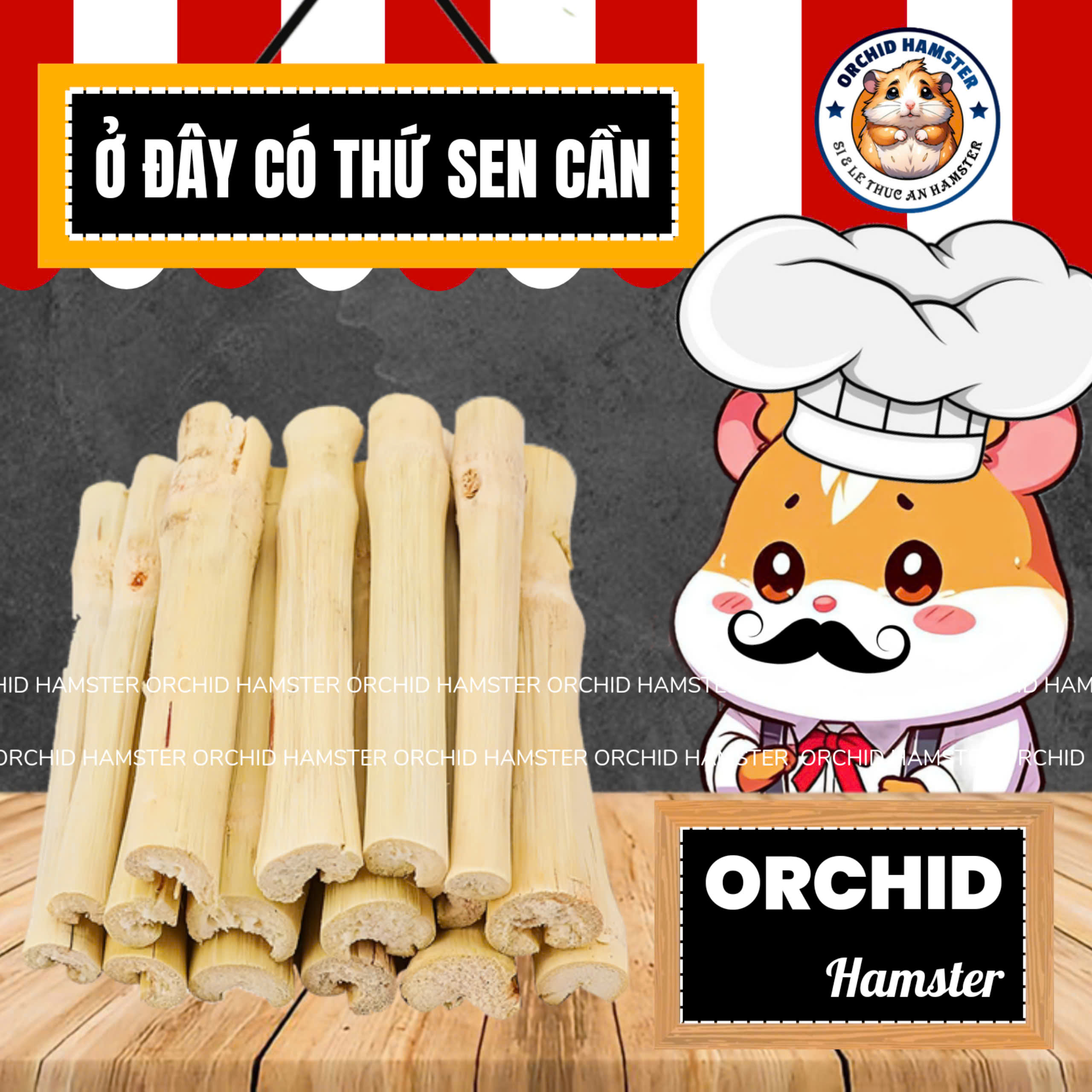 Cành Táo - Tre Ngọt Mài Răng Hamster /Sóc/Nhím Thú Nhỏ