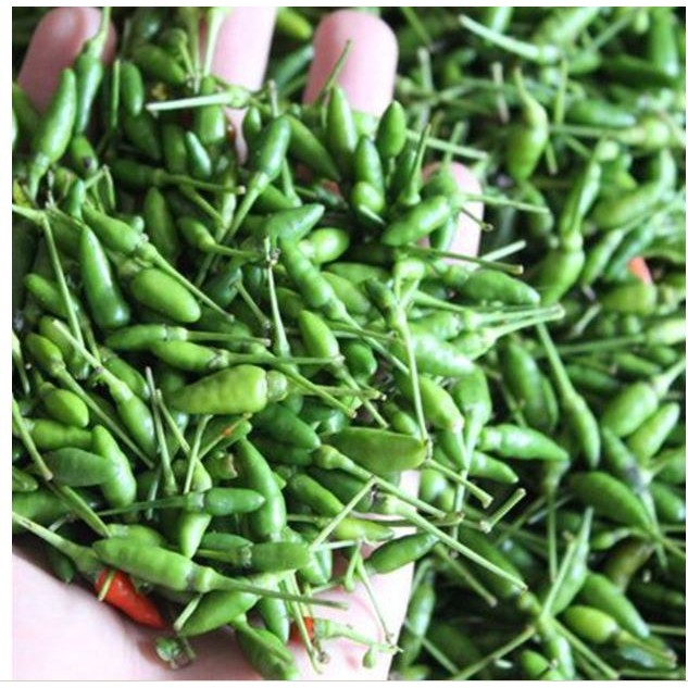 Hạt Ớt Xiêm Xanh - Gói 0.1 Gram