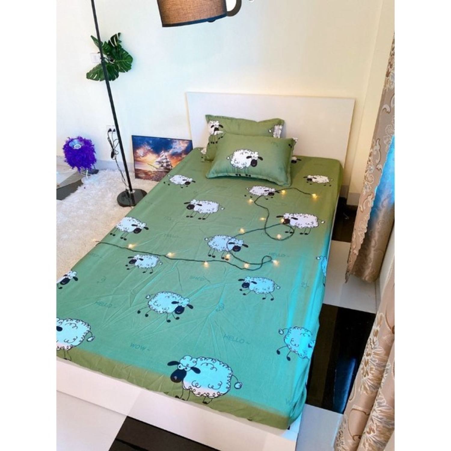 🎊Set 1 ga + 2 vỏ gối cotton poly🎊