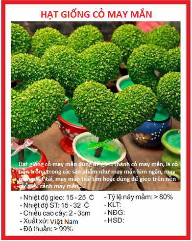 Hạt giống cỏ may mắn - gói 1gram