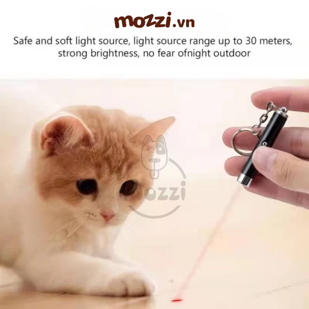 Đèn laser đồ chơi cho mèo