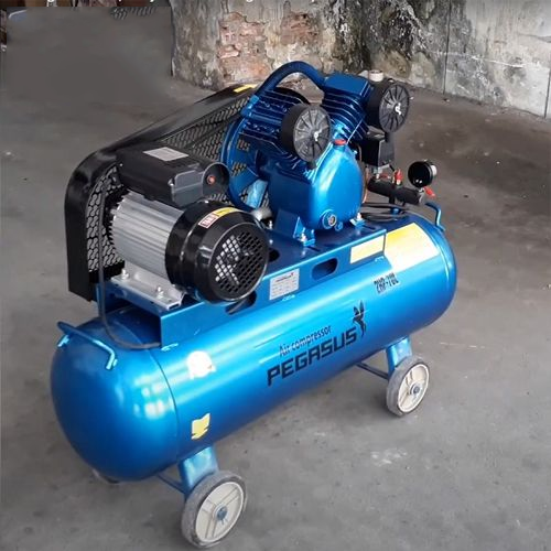 Máy Nén Khí 2HP Pegasus TM-V-0.17/8-70L