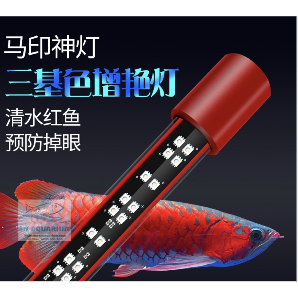 Đèn led cá rồng mayin super colour chuyên dụng cho huyết long 112cm