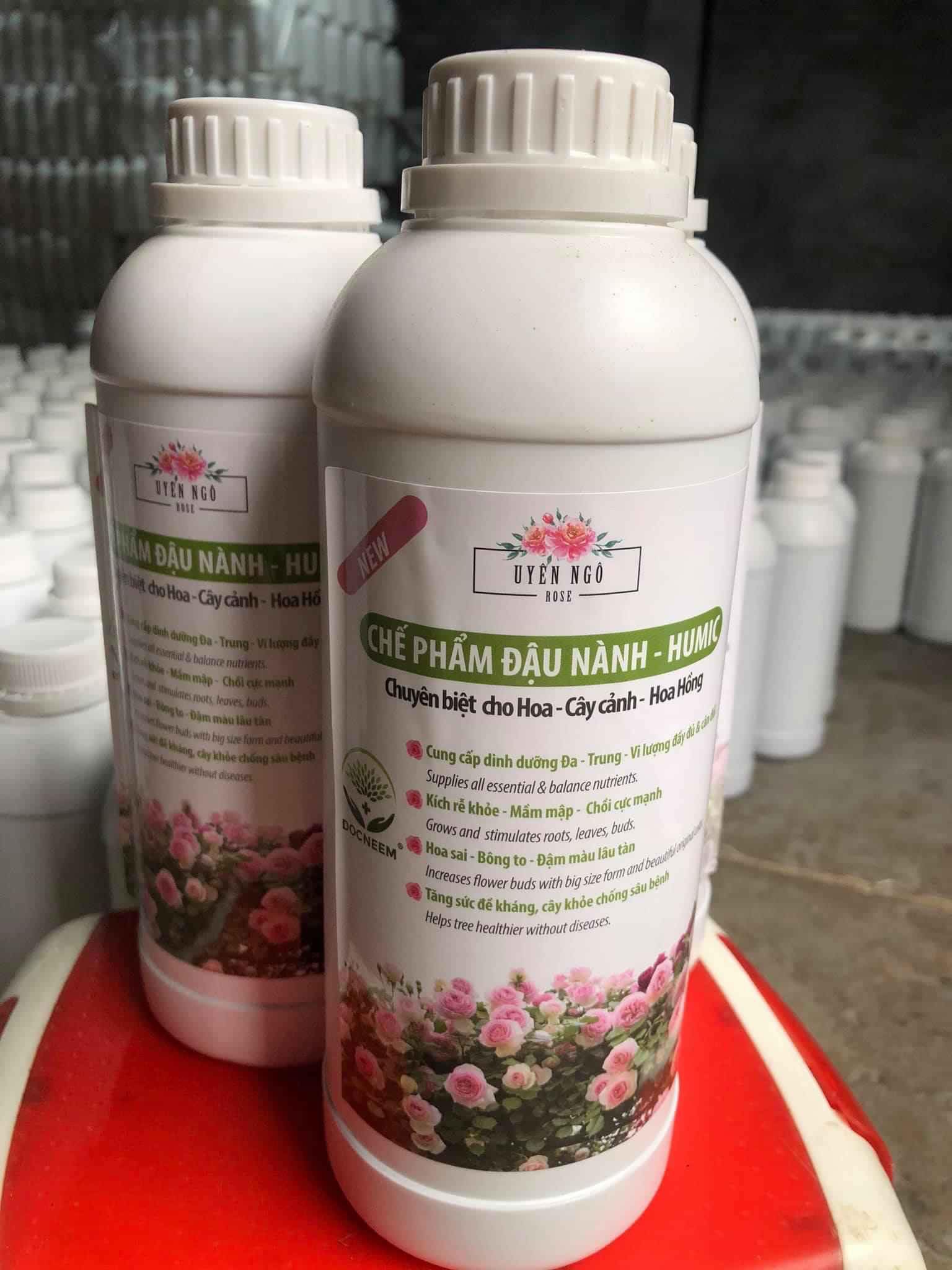 cẩm tú cầu đa sắc đẹp vô đối combo 10 cây 100k