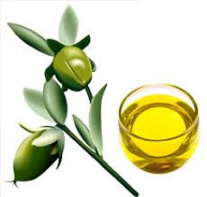 Dầu oliu làm đẹp da - 170ml