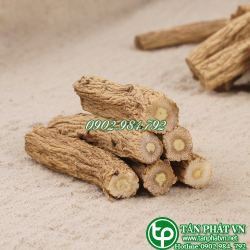 Đẳng sâm khô 100g (thơm, sạch), Đảng sâm khô, Lộ đẳng sâm - Tấn Phát