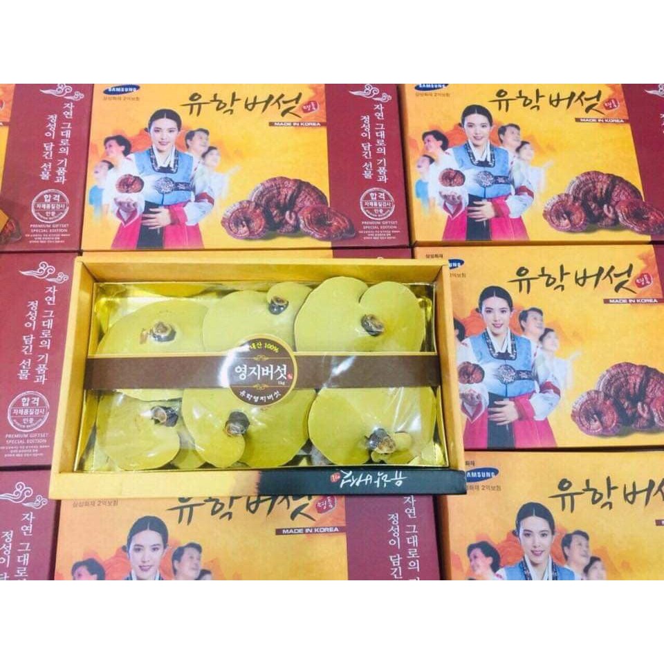 Hộp Nấm Linh Chi Đỏ
