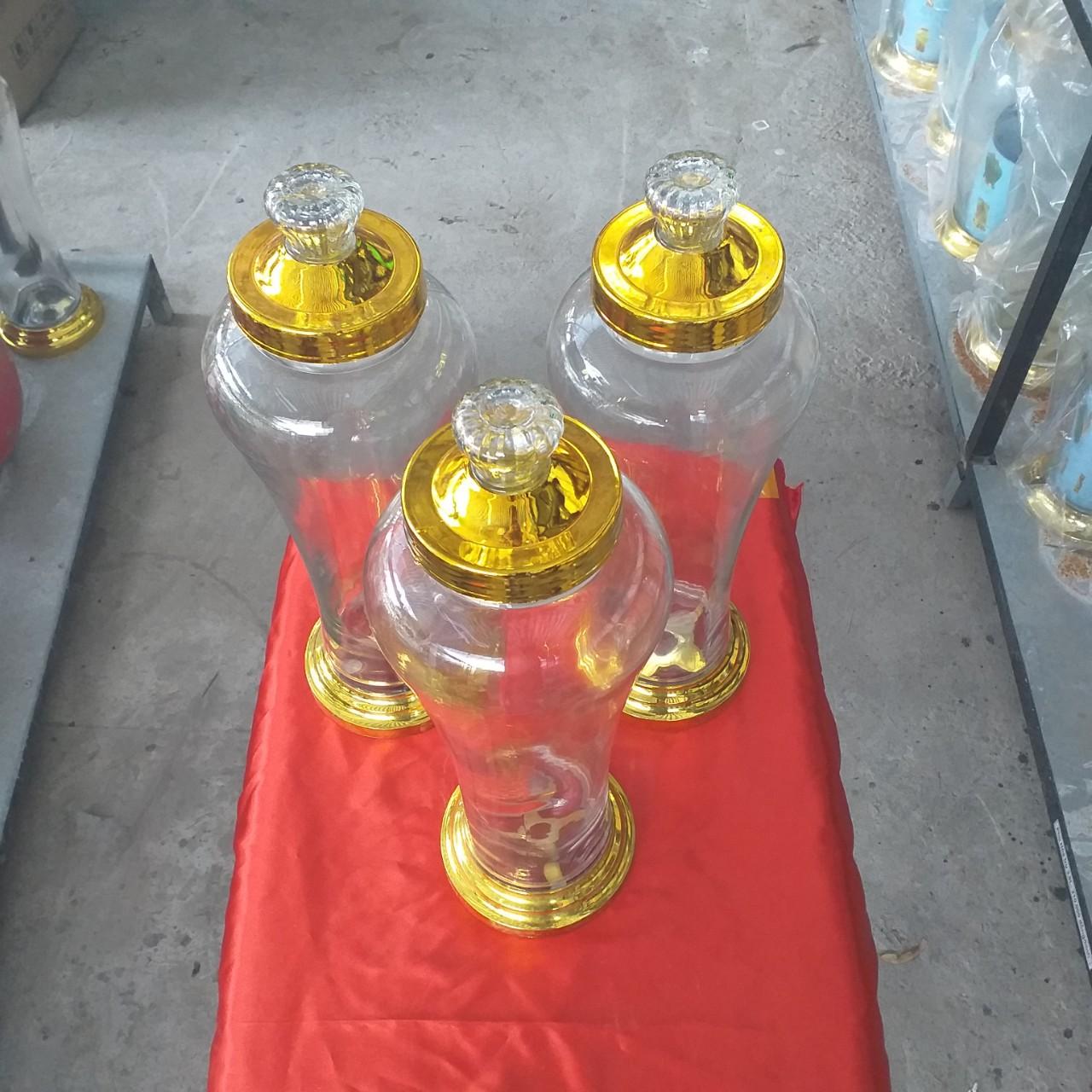 BÌNH NGÂM RƯỢU SÂM, ĐINH LĂNG, HOA QUẢ THỦY TINH 7 LÍT