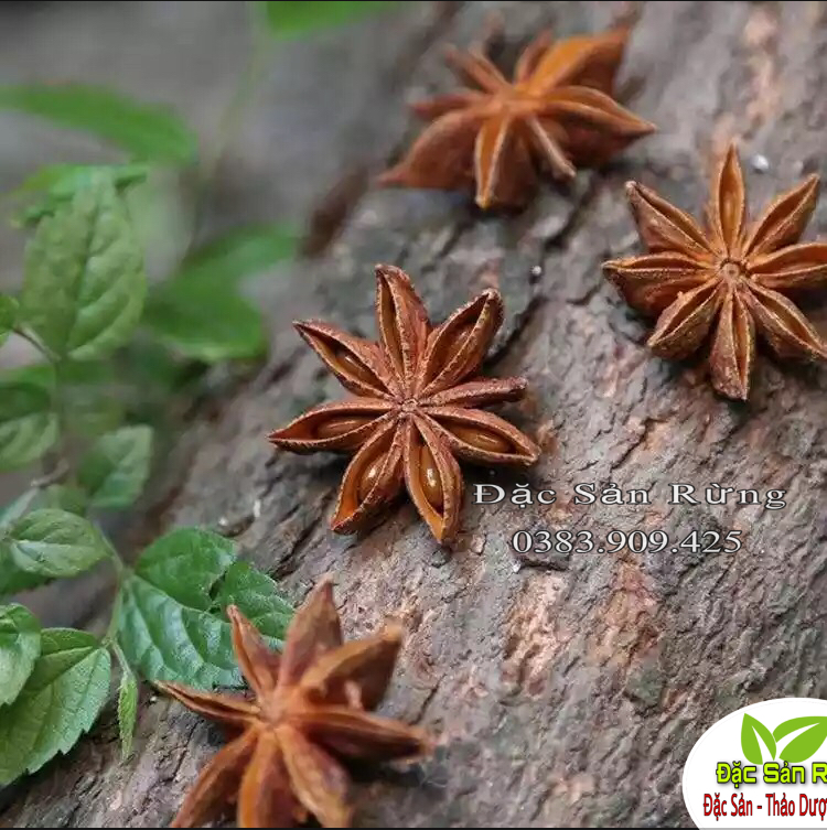 Hoa Hồi Khô Lạng Sơn - Đặc Sản Rừng ( 100gr )