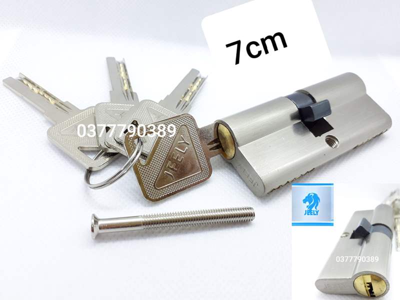 [HCM]ruột khóa tay gạt jeely