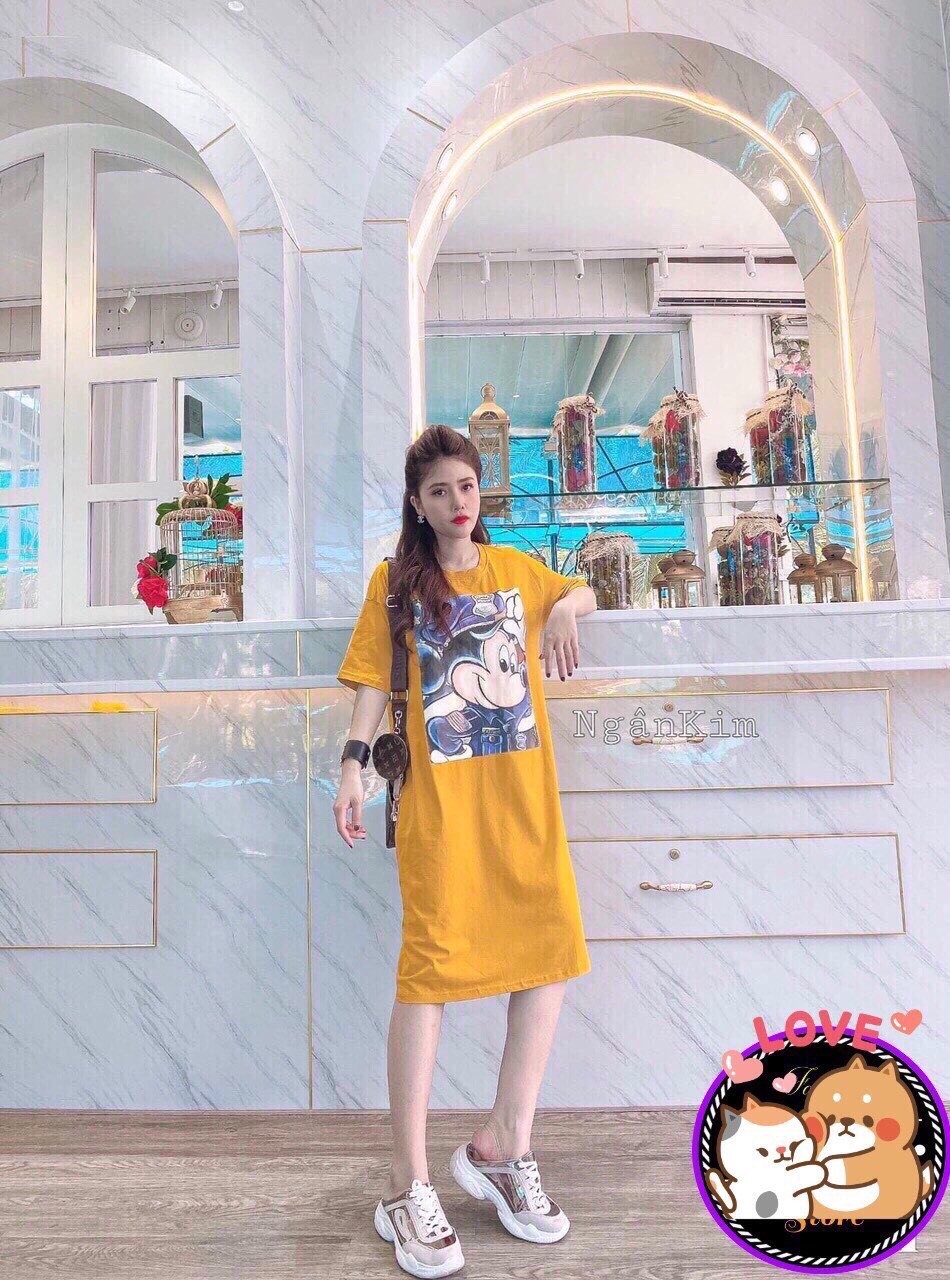 Đầm Suông Đuôi Cá Phối Bèo Xinh Xắn TH88
