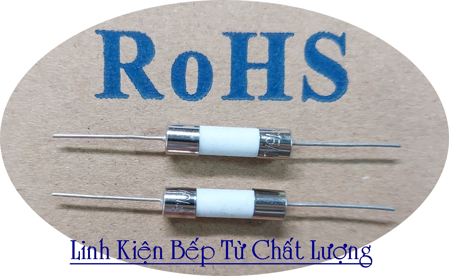 (20 cái) Cầu Chì Sứ Chân Cắm 10A 250VAC 5x20mm Mới.