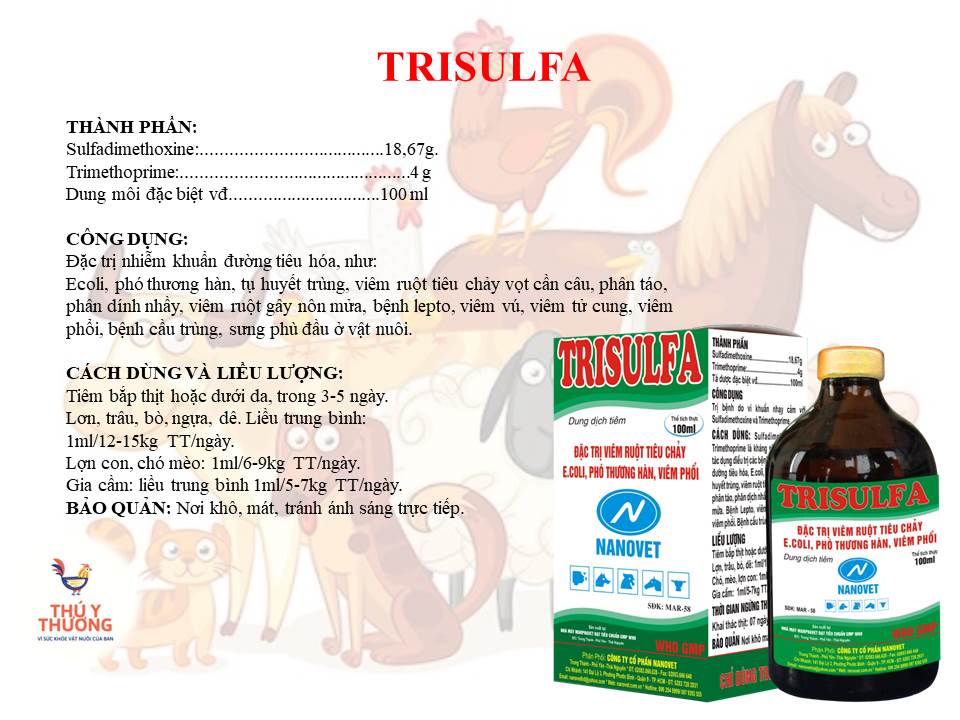Trisulfa 100ml x 2 chai dứt điểm ecoli, viêm ruột, thương hàn, tiêu chảy trên heo, trâu, bò, dê, gà, vịt