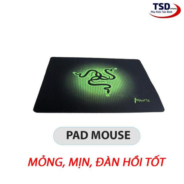 Bảng giá [HCM]Miếng lót chuột Razer mantis giá rẻ cho game thủ Phong Vũ