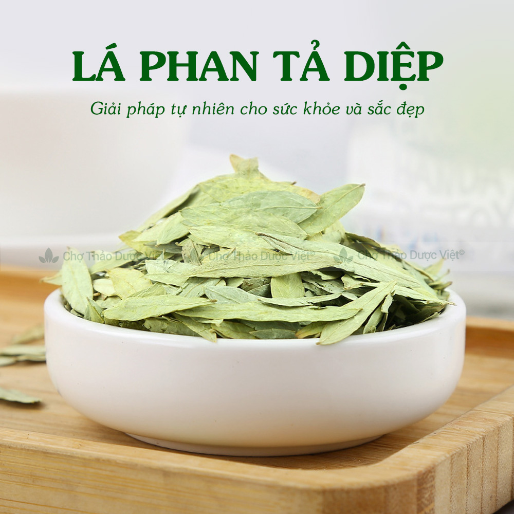 Phan Taa Diep 1kg, Dried Phan Taa Diep Leaves, Clean, Crumb-Free, Without Impurities - Viet Herbal Market