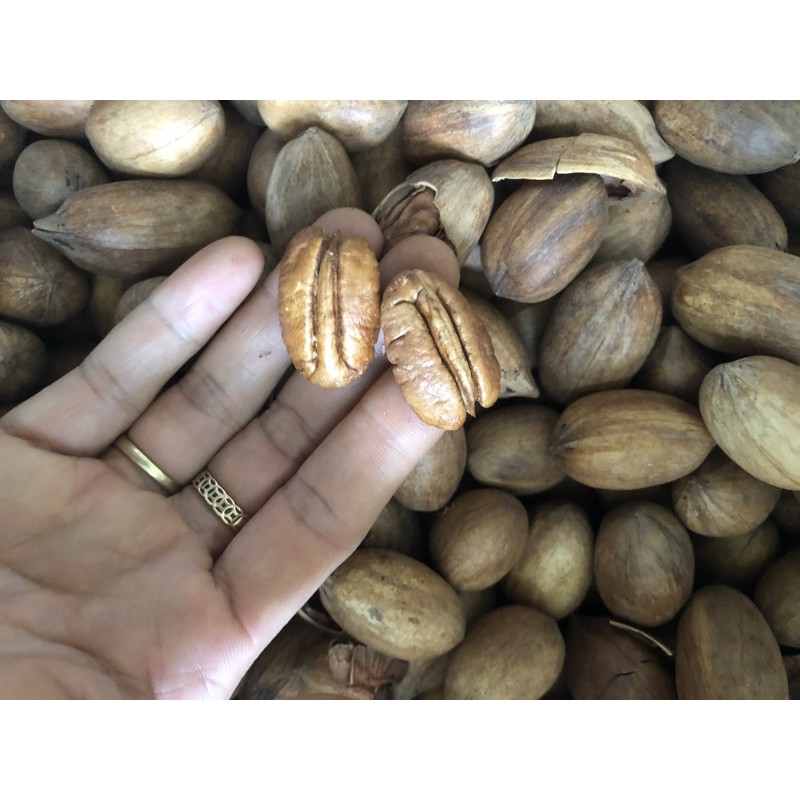 Nhân Hồ Đào Mỹ 250G