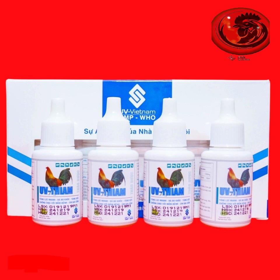 UV - THIAM TĂNG LỰC NHANH - ĐÁ BO KHỎE - ÚM GIA CẦM 1 HỘP 10 LỌ