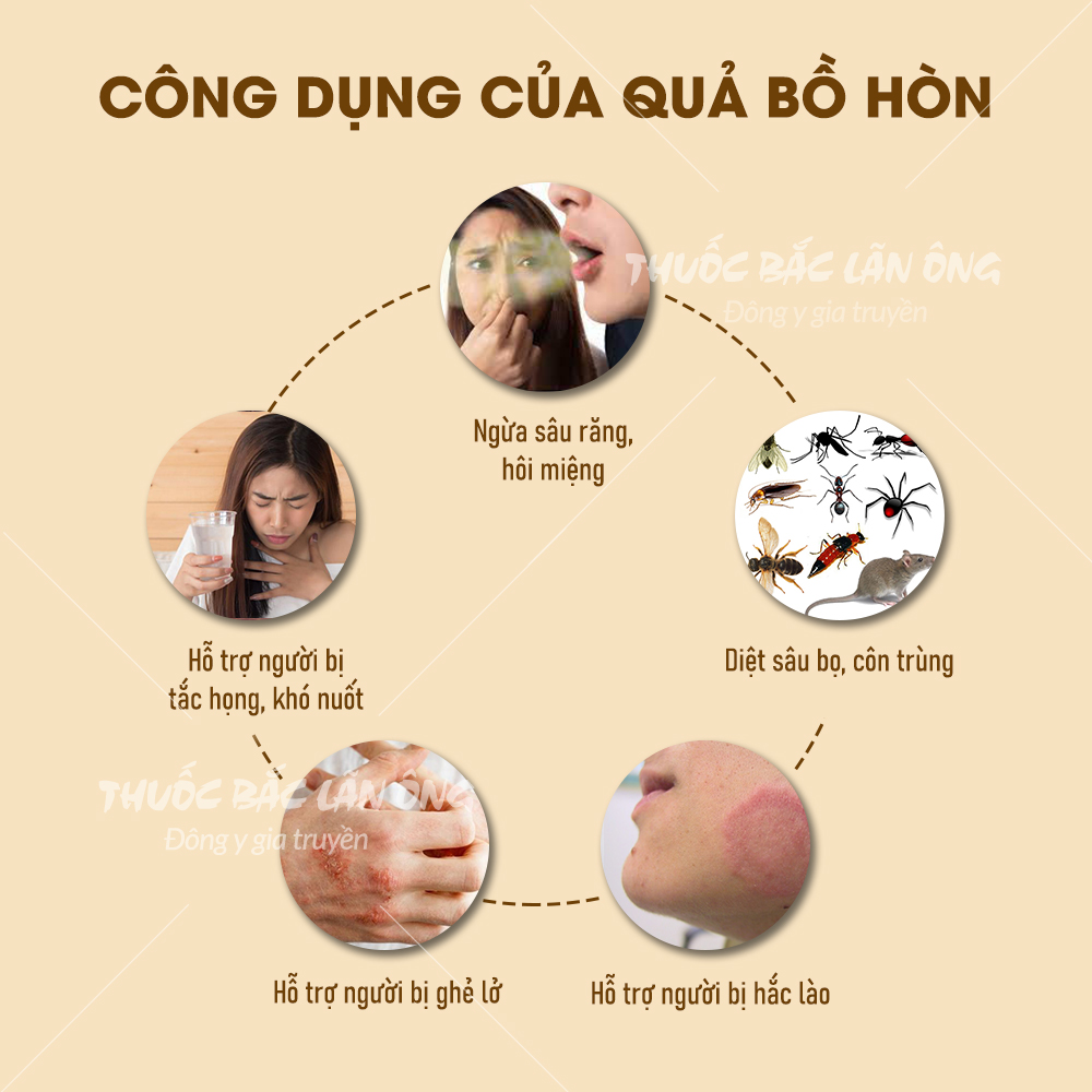 Qủa bồ hòn tách hạt 100g (Xà phòng, nước rửa chén hữu cơ) – Thuốc bắc lãn ông