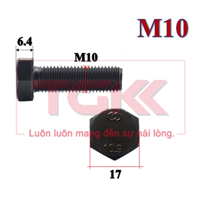 Bulong chịu lực 10.9 M10