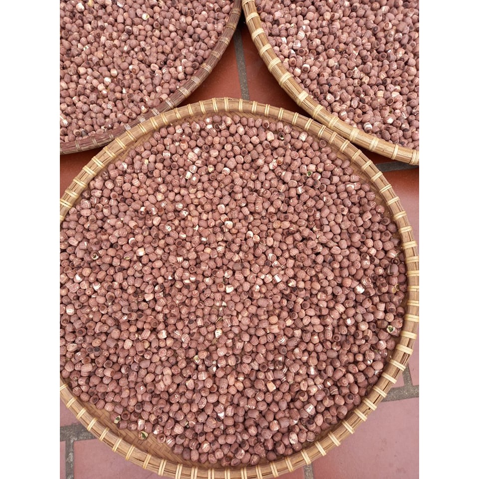 Hạt Sen khô Lứt Nguyên Hạt - Còn nguyên Vỏ Lụa 500gr