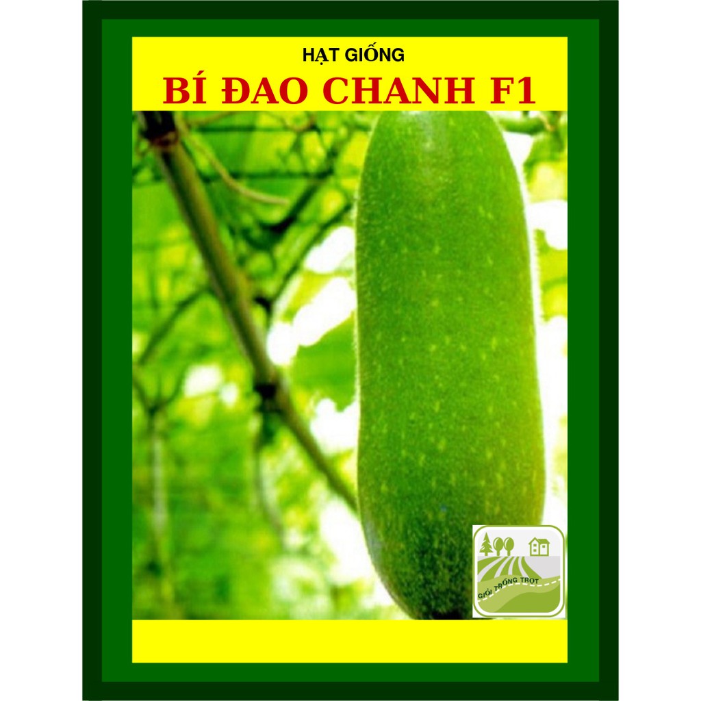 Hạt Giống Bí Đao Chanh F1 20 Hạt