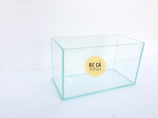 Bể cá 3 ngăn để bàn - bể cá betta cỡ 30*15*16cm-bể cá trang trí