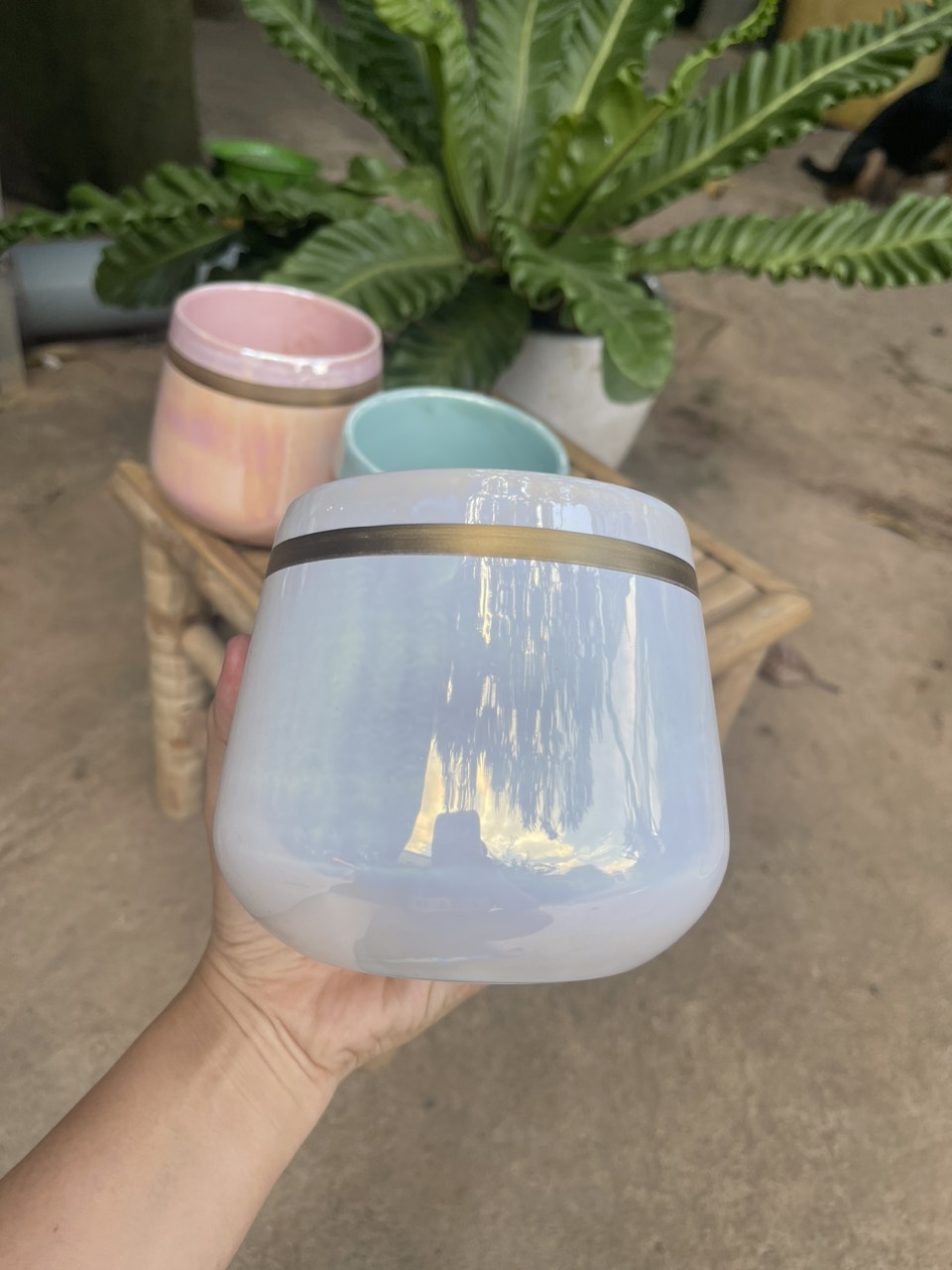 Chậu sứ men ngọc trai viền vàng sang trọng