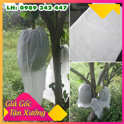 Xả hàng túi bọc bưởi diễn 50 túi kt 25*30cm vải không dệt tái sử dụng nhiều lần đường may chắc chắn