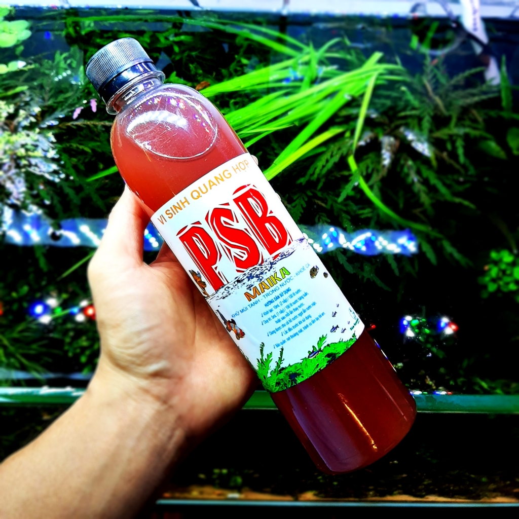 Vi sinh PSB MAIKA 500ML | Vi sinh giúp khử độc - khử mùi tanh - làm trong nước - khoẻ cá