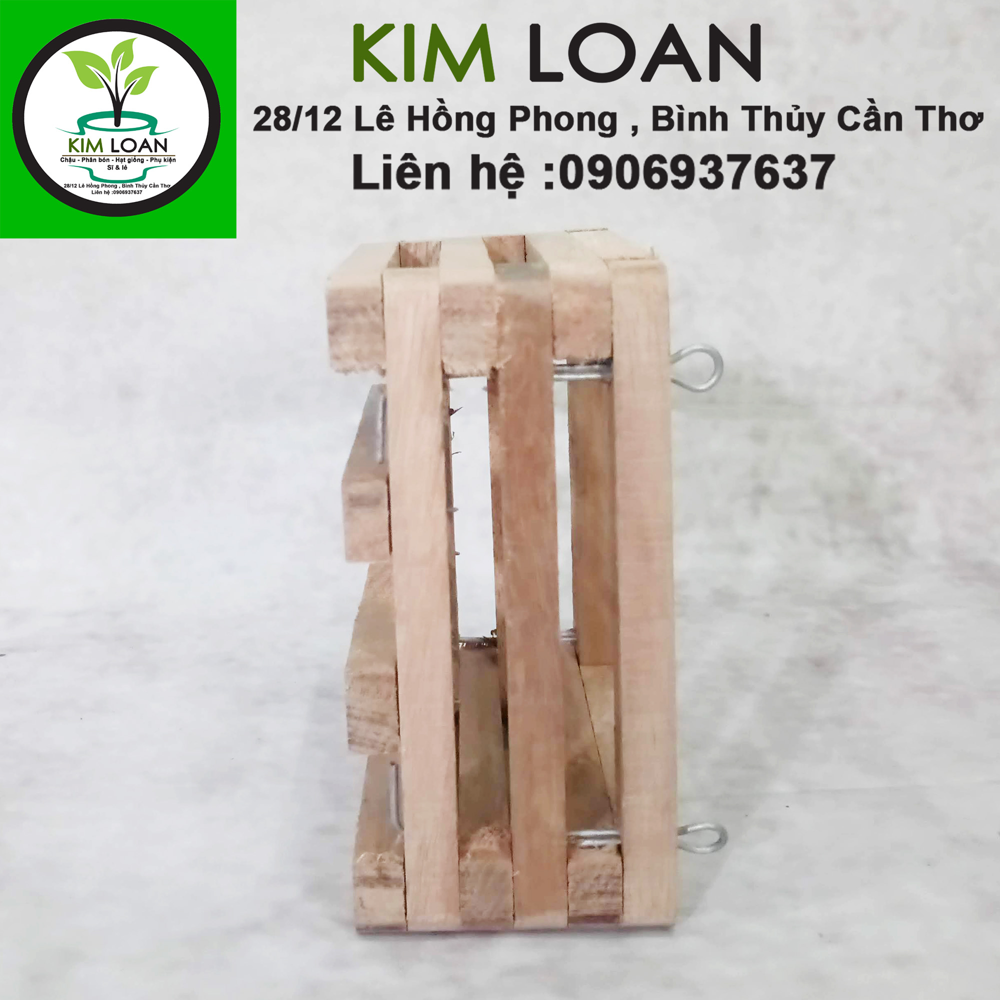 Chậu lan gỗ hộp vuông 15x7cm