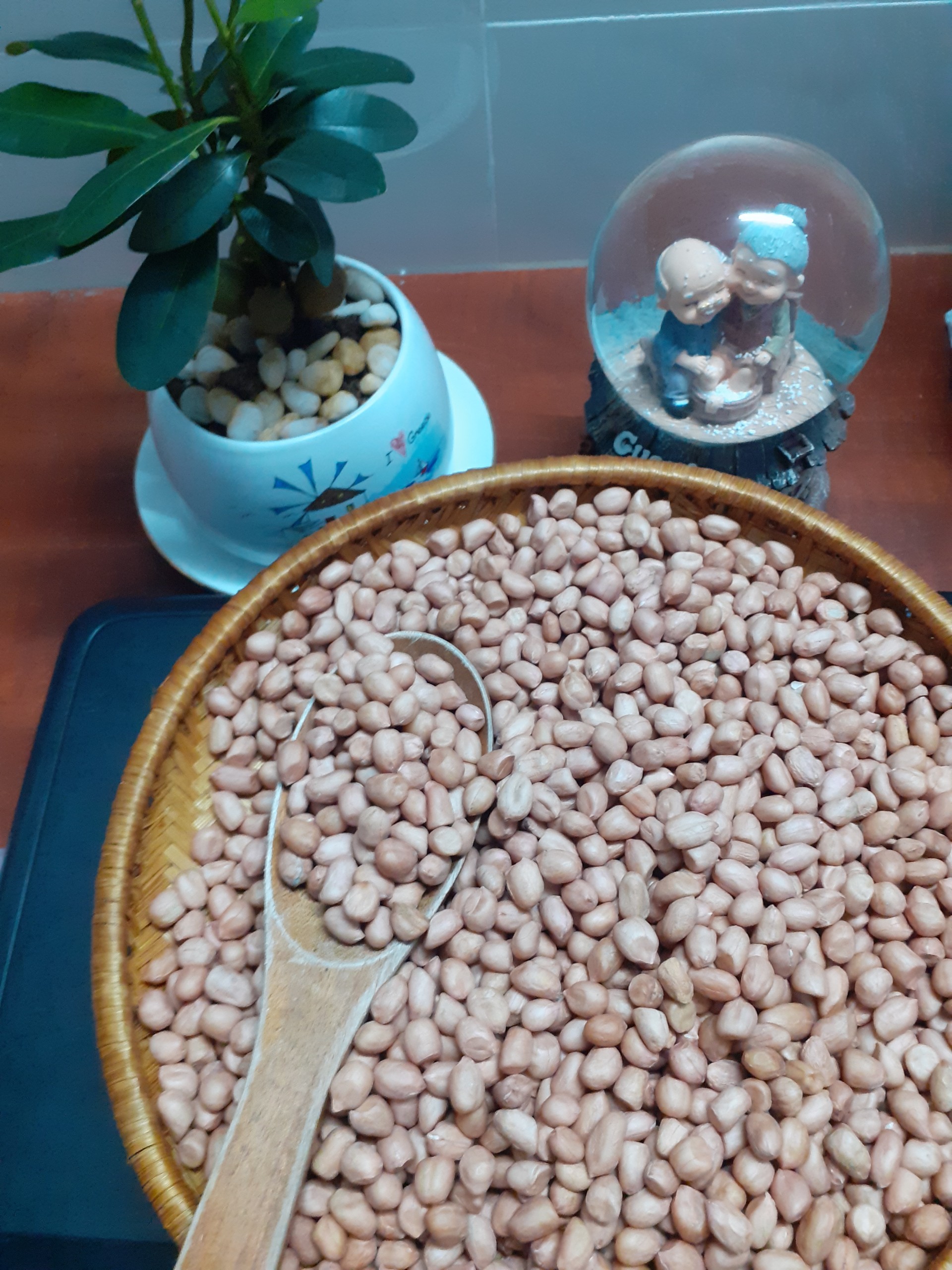 đậu phộng quê hương (hạt lạc sống)