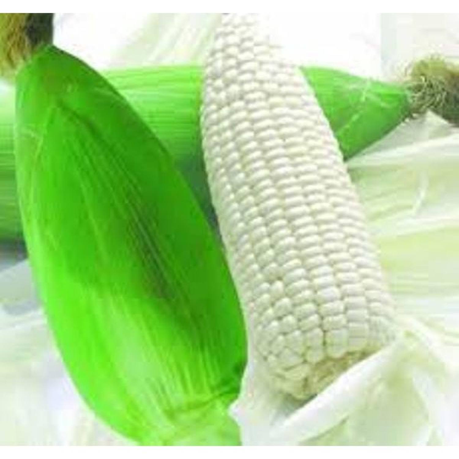 Hạt giống bắp nếp trắng cao sản siêu dẻo - Ngô nếp trắng
