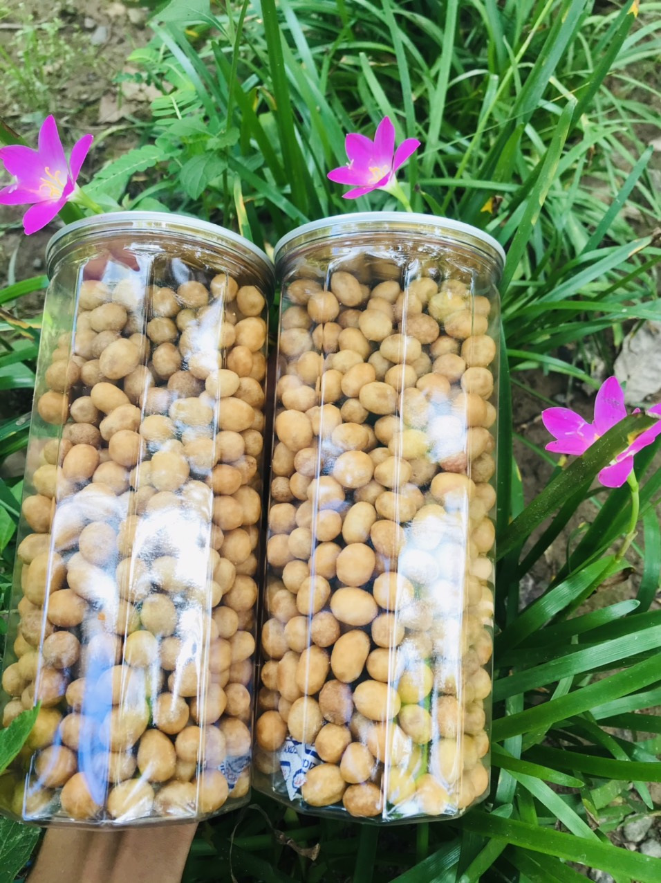 Đậu Phộng da Cá Nước cốt dừa 400gr
