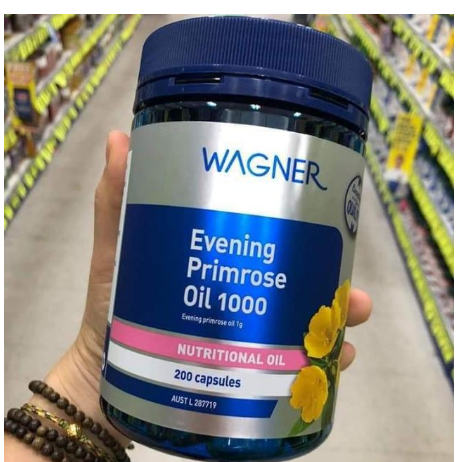 Hoa anh thảo Wagner 200 viên