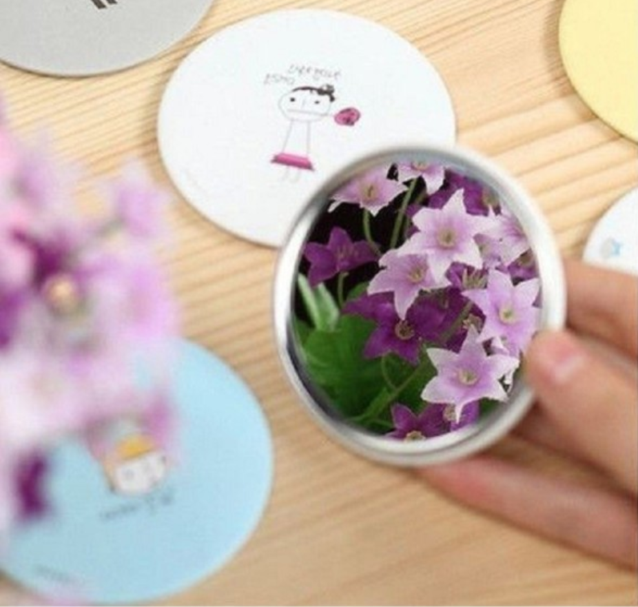Set 3 chiếc Gương mini dễ thương Hàn Quốc