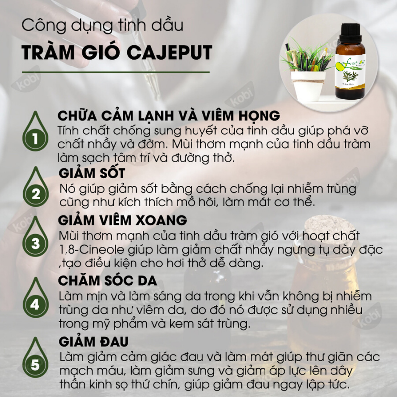 [HCM][Mua 1 tặng 1]Tinh Dầu Tràm Gió Cajuput 50ml