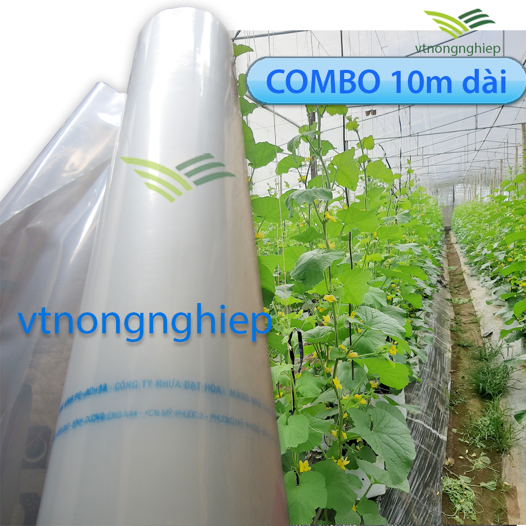 Combo 10m Màng nhà kính Đạt Hòa, khổ 3.2m, độ bền 5-8 năm