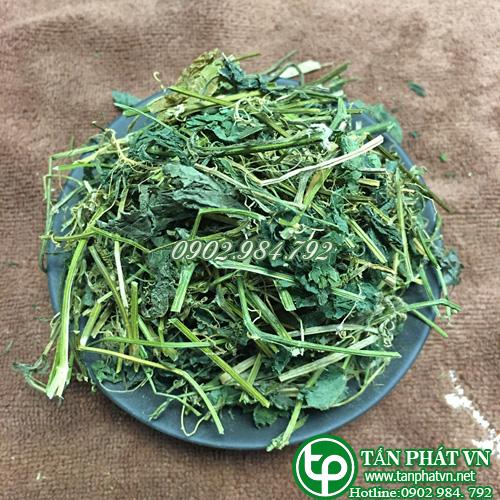 Dây khổ qua rừng sấy khô 500g